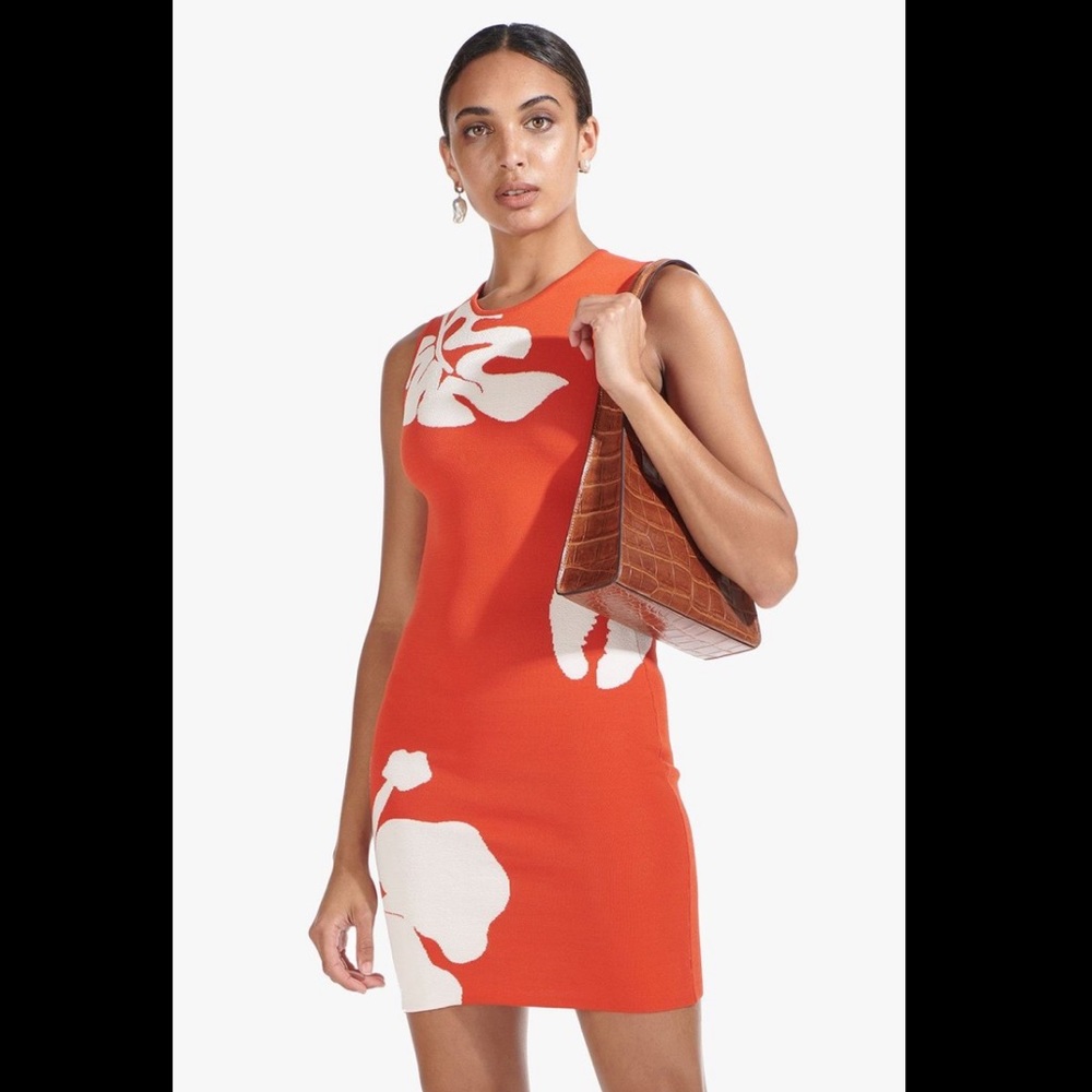 Staud Chili dress